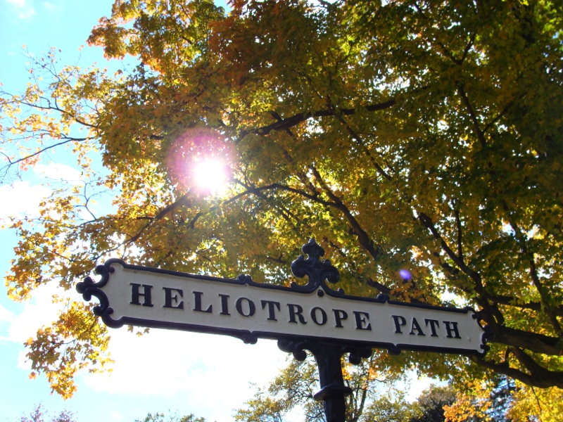 heliotrope_path