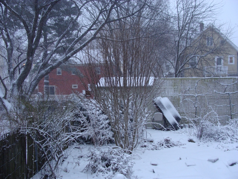 Blizzard_Tag1_Garten