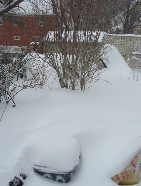 Blizzard_Tag2_Garten