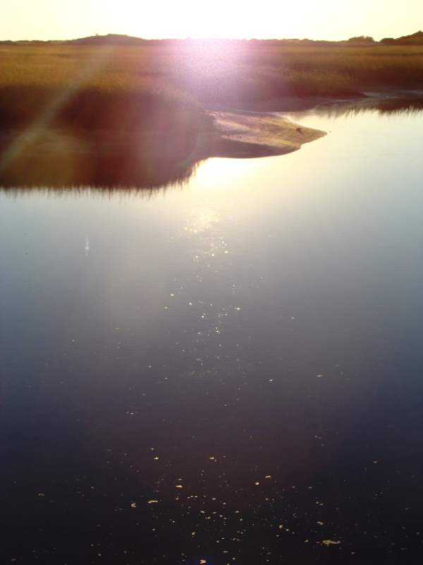 CapeCod_Duenenlandschaft