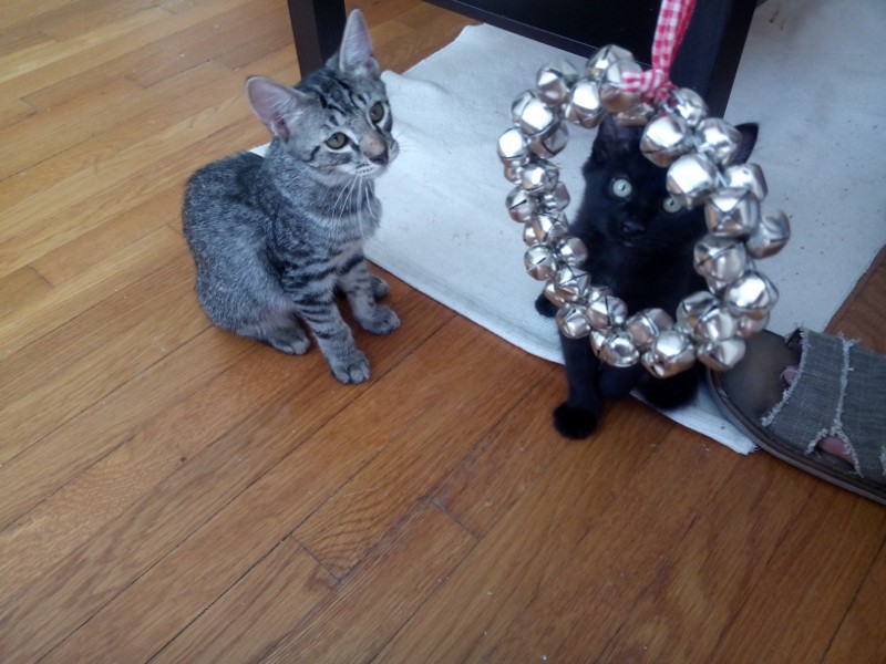 Katzen_Weihnachtsdeko1