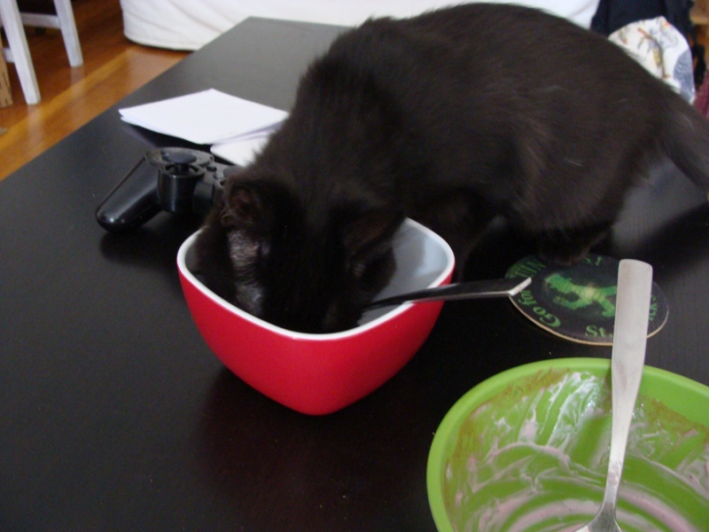 Kazoo_Fruehstueck_800_600