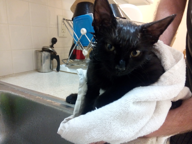 Kazoo_gebadet_800_600