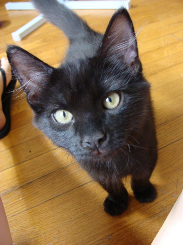 Kazoo_und_Kamera_600_800