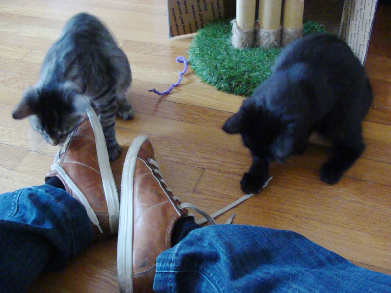 Kazoo_und_Mando_helfen_beim_Schuhe_zubinden_800_600