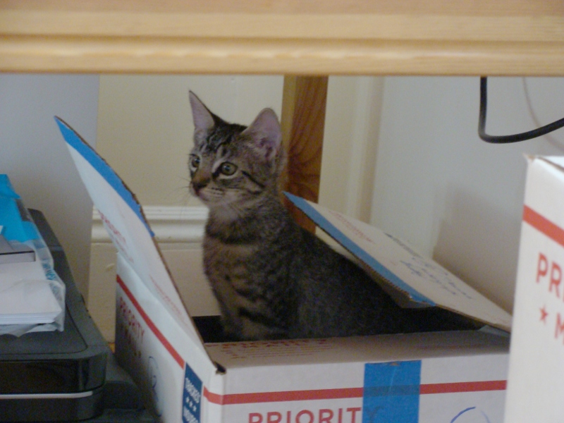 Mando_in_der_Kiste_800_600