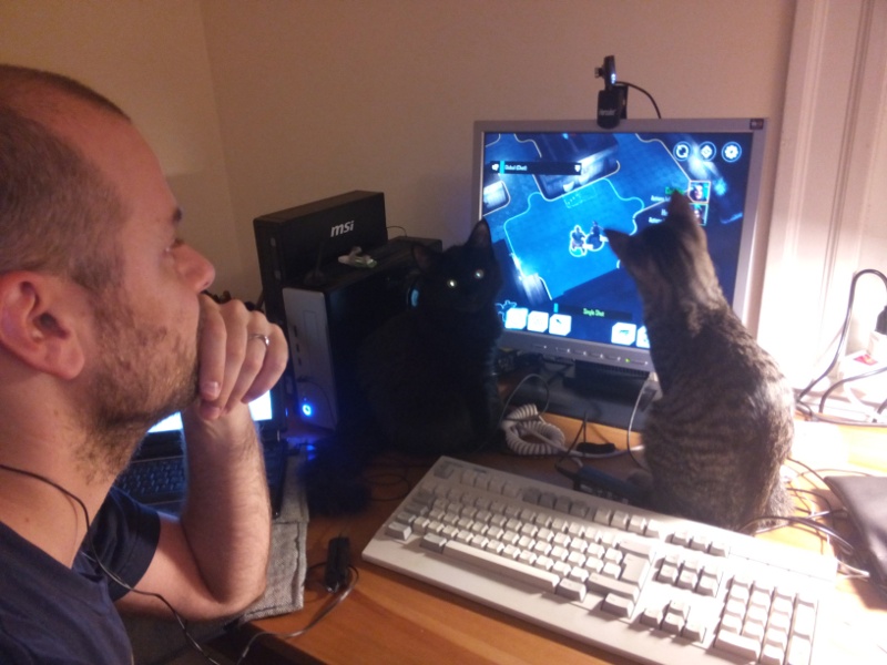 Shadowrun_online_mit_Katzen