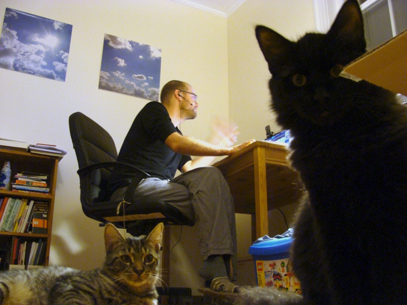 Tobi_Katzen_Computer