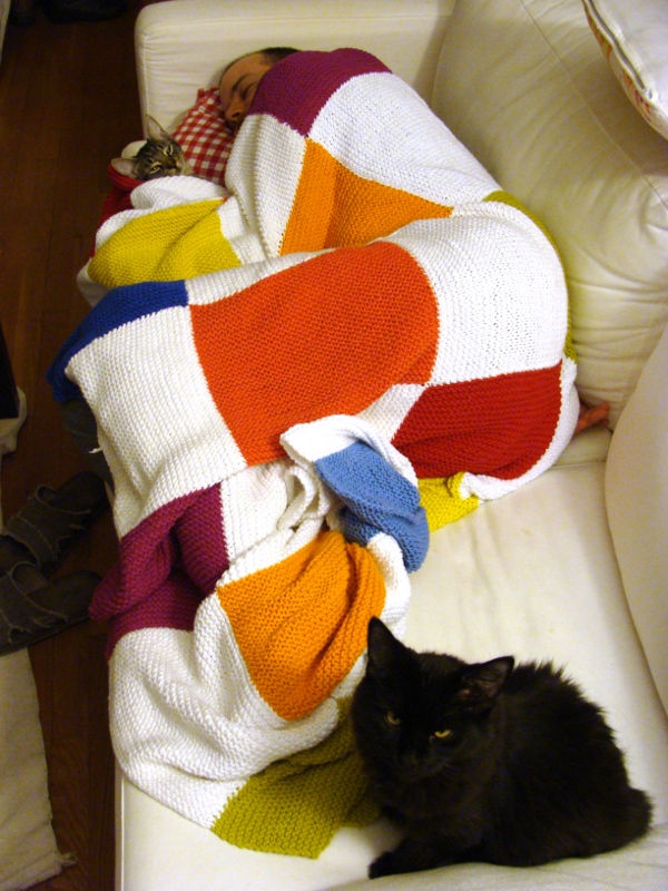 Tobi_Katzen_Mittagsschlaf1