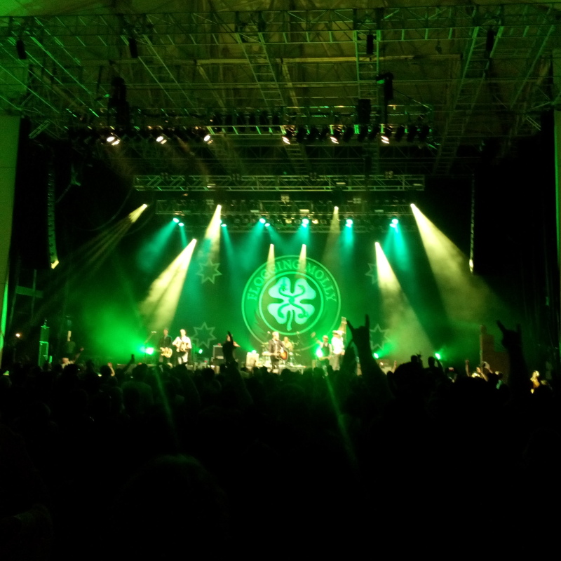 FloggingMolly