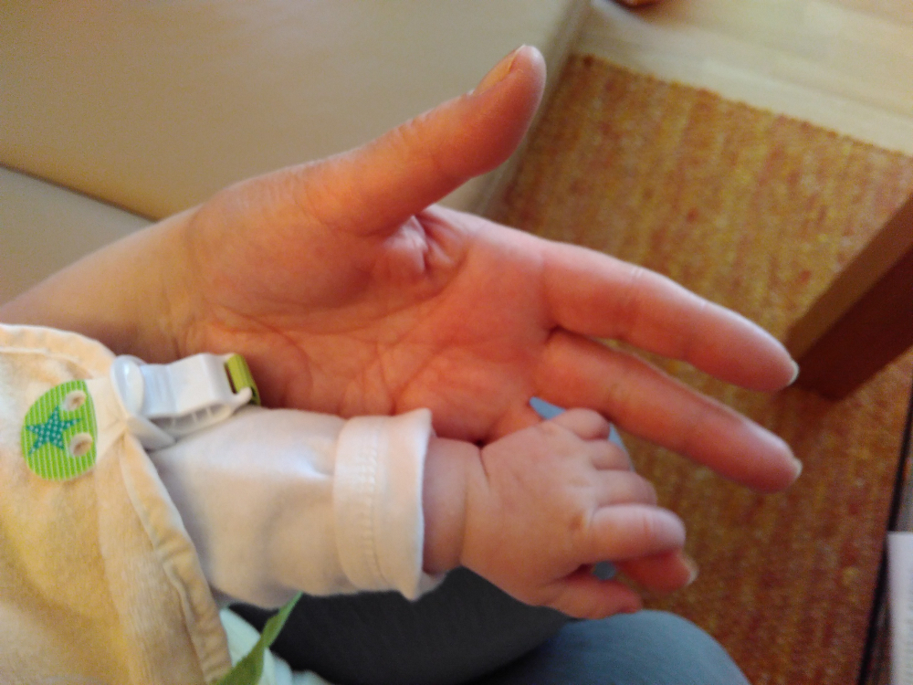 20161029_ritakarashand_resized