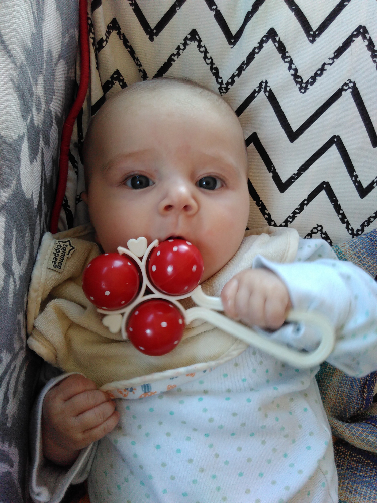 kara_mit_rassel_resized