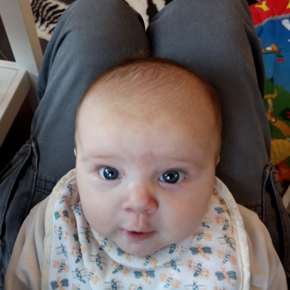 20161008_karakulleraugen2_m