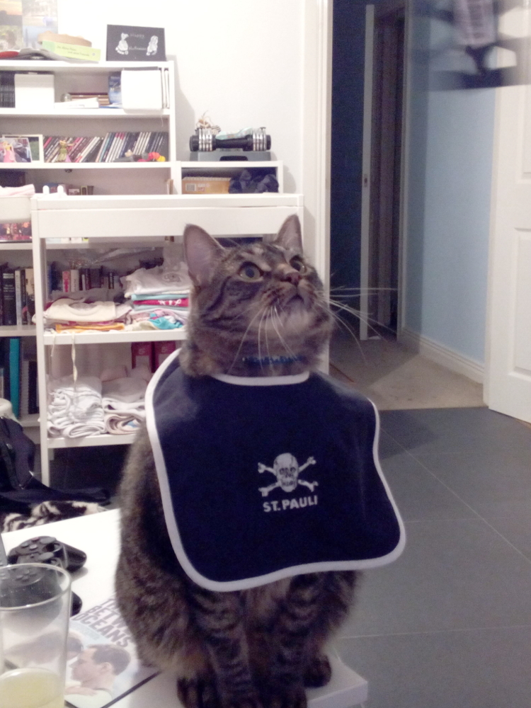 20161110_mandolaetzchen_m