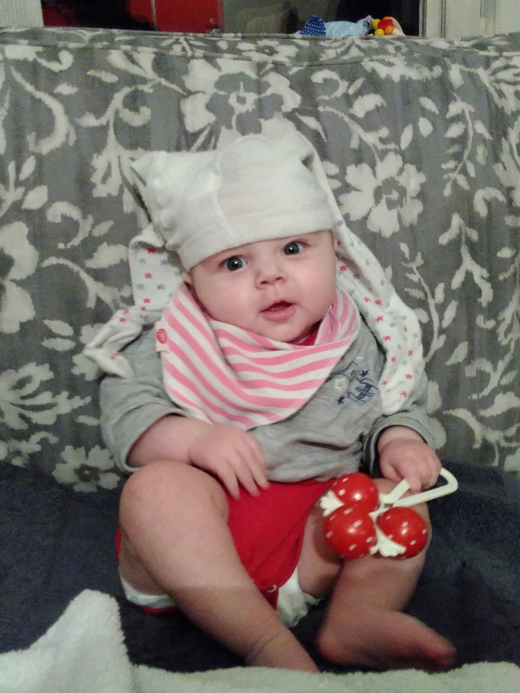 20161125_karahofnarr1_m