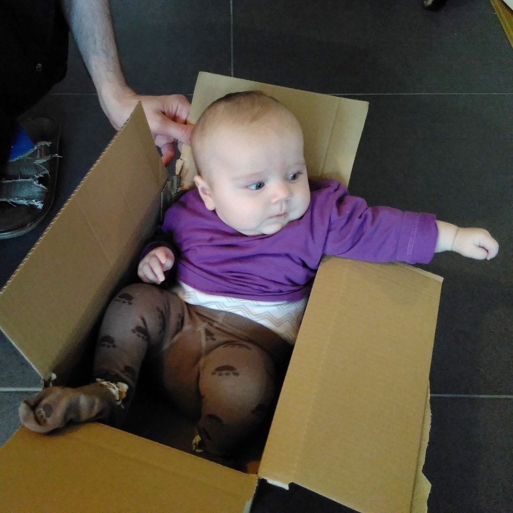 20161127_karainderkiste_m