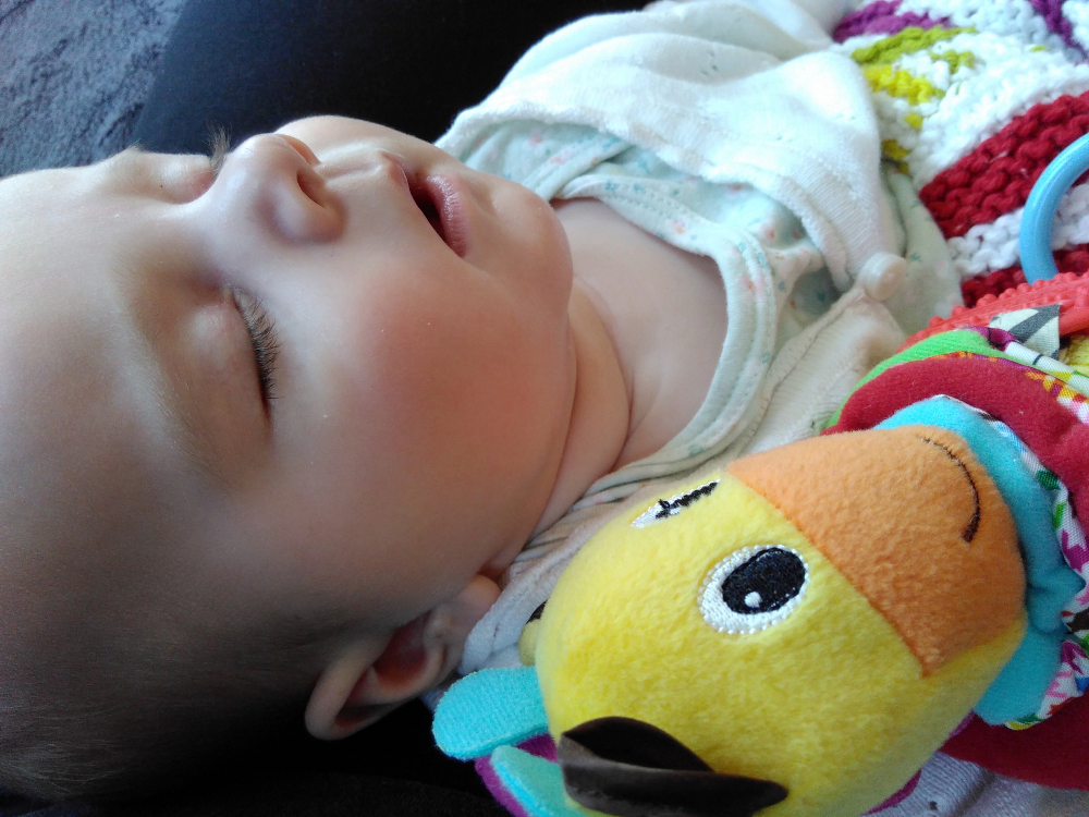 20161203_karaschlaeft_m