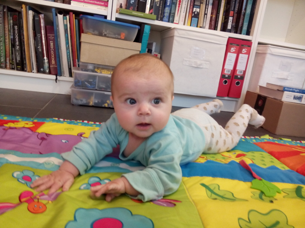 20161206_karakrabbeldecke_m