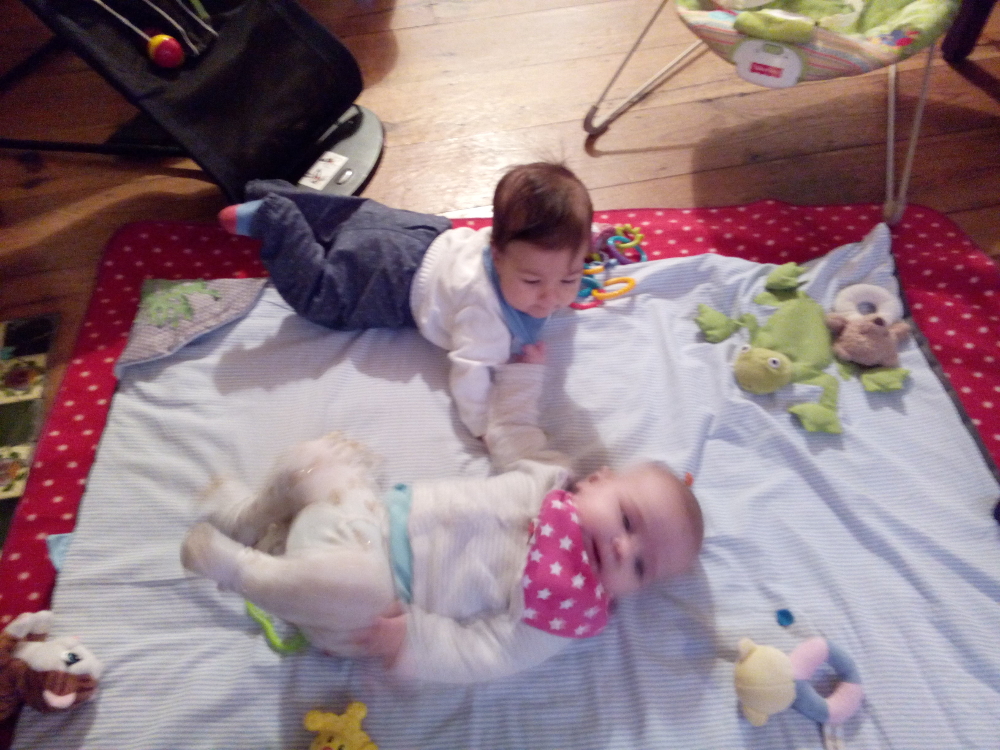 20161206_karasimeona