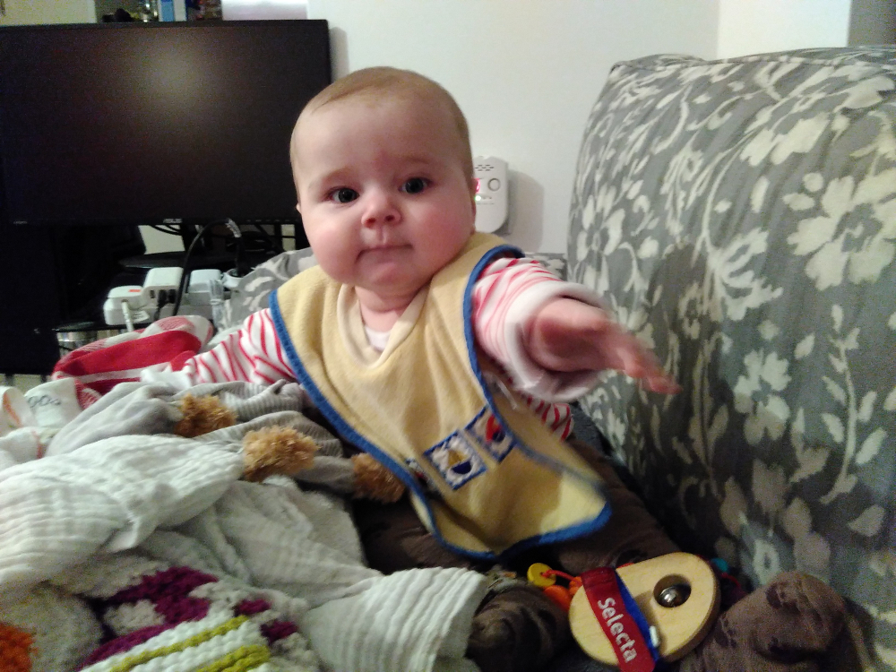 20170122_sitzt_wien_checker