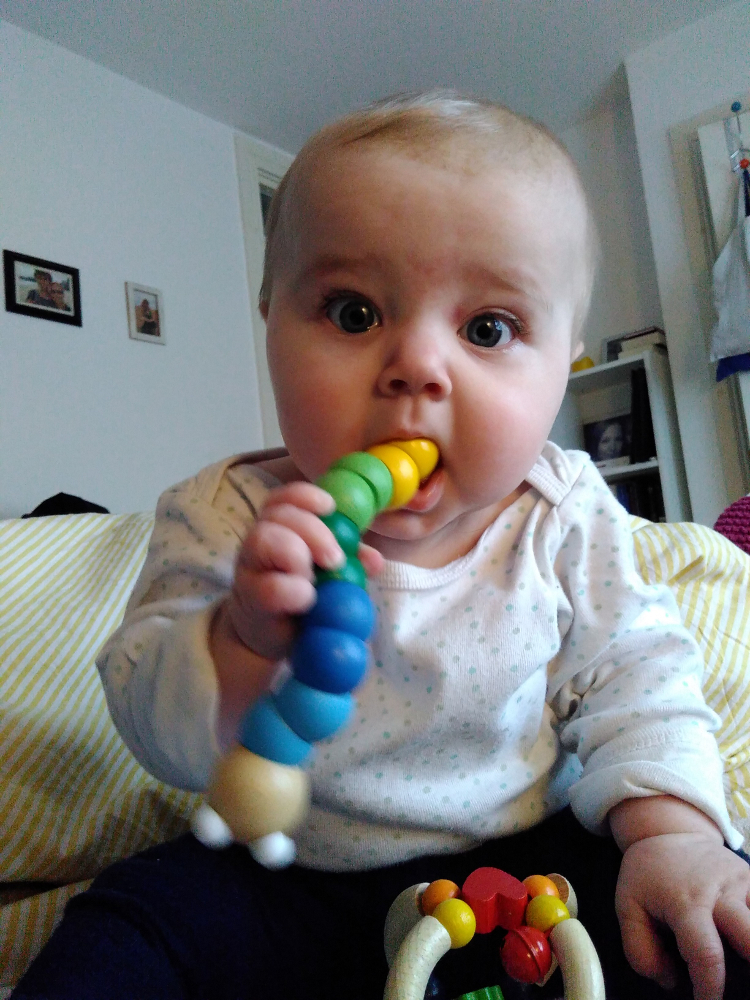 20170128_karamitwurm