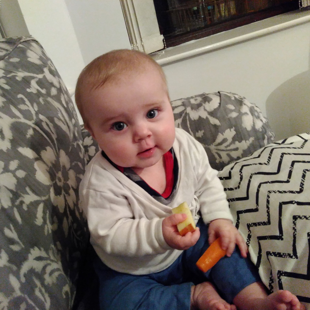 20170214_karaapfelkarotte1_m