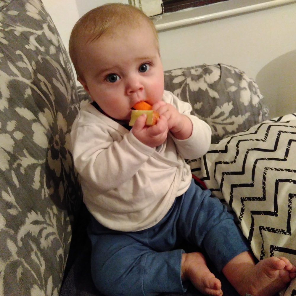 20170214_karaapfelkarotte2_m