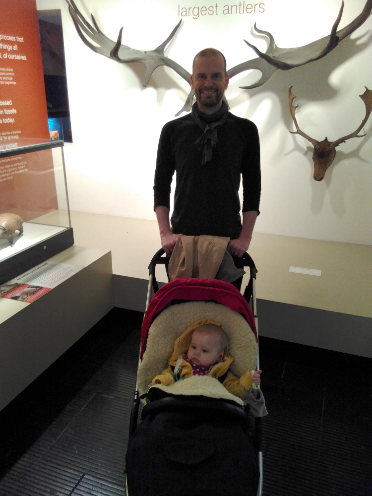 20170218_museum_geweih_m