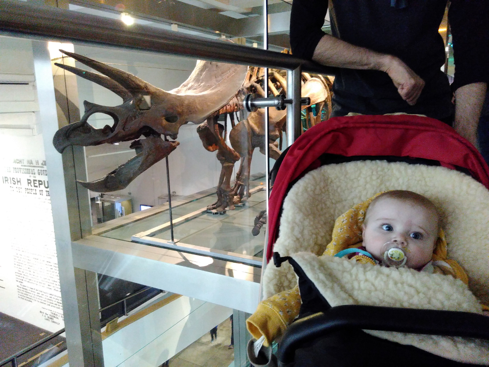 20170218_museum_triceratops_m